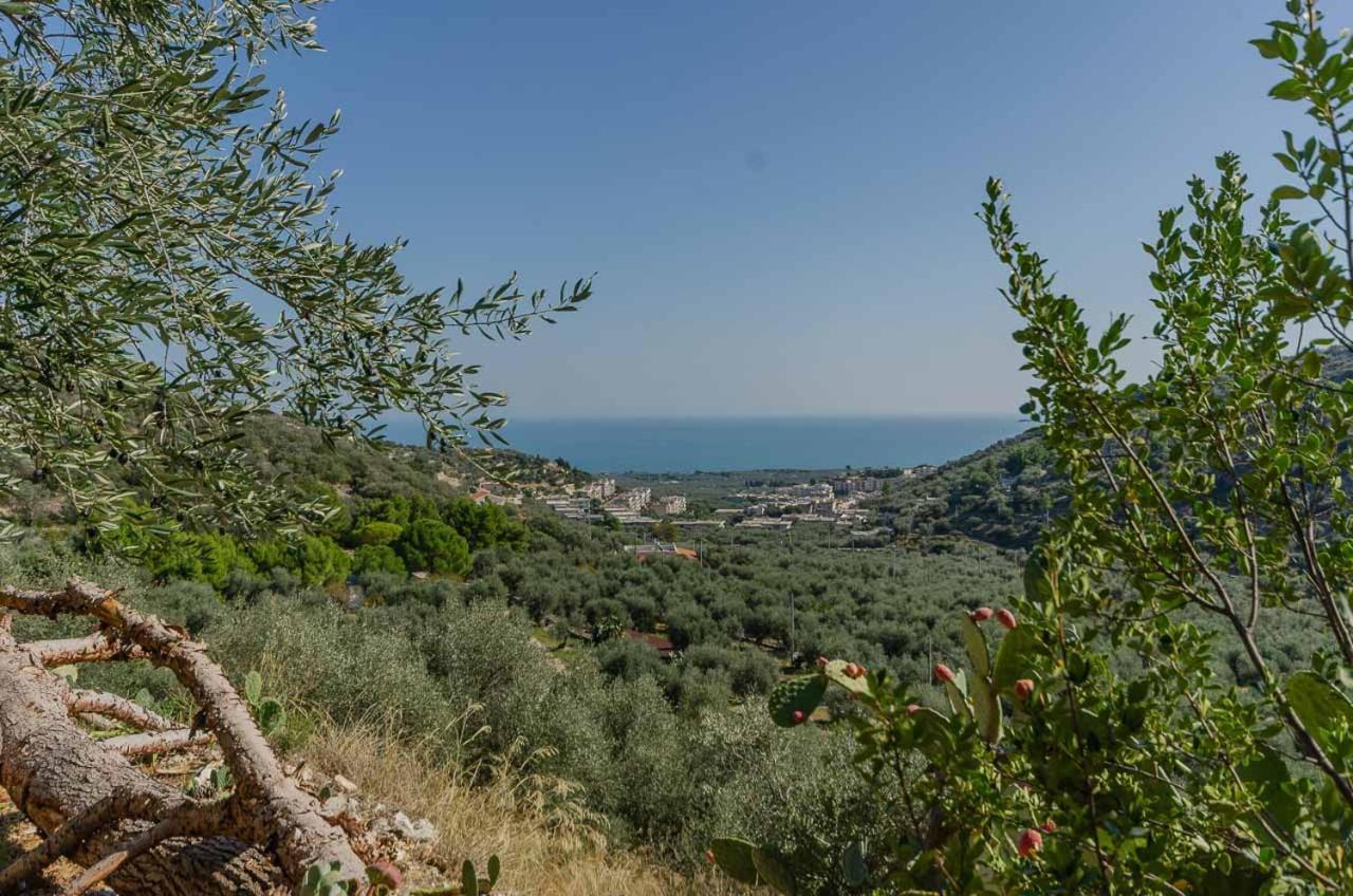 Agriturismo Madonna Incoronata Mattinata Ngoại thất bức ảnh